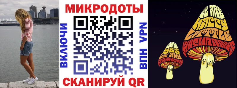 Псилоцибиновые грибы Psilocybe  сколько стоит  Владимир 